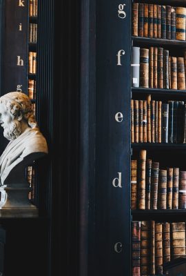 giammarco-boscaro-380907-unsplash-copyright-min.jpg